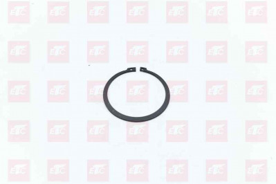 Q310080000 Кольцо стопорное