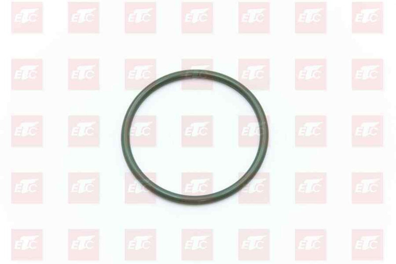 201V06904-0049 Уплотнение термостата — 1