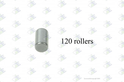 ER 95530898 Ролик сателлита D=10