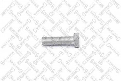 8900637SX Болт