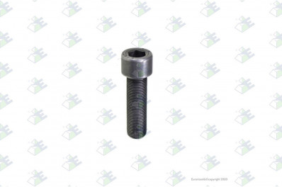 ER 74170930 Болт внутр. шестигран. М18*1,5*60
