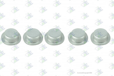 ER 60531221 Крышка вала