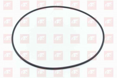 MQ6-56341-4254 Кольцо уплотнительное бортового редуктора 255*5