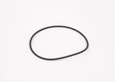 2410210014 Уплотнительное кольцо 100*3