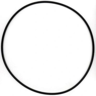 315621 Кольцо уплотнительное 255*5