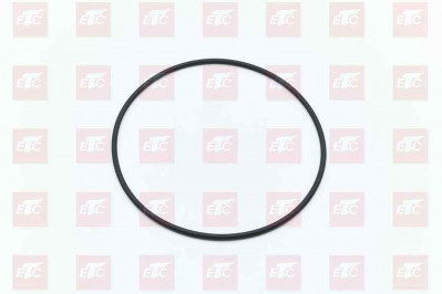 WG9925520062 Сальник балансира