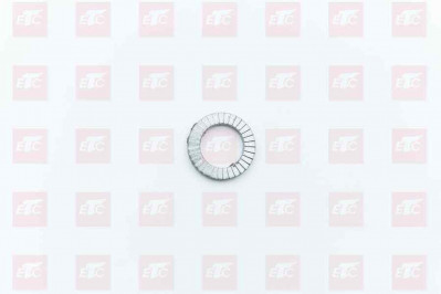 WG9000310010 Стопорная шайба