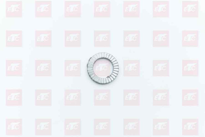 WG9000310010 Стопорная шайба — 1