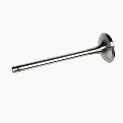 7406-1007010 Клапан впускной