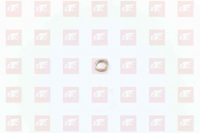 Q40310 Пружинная шайба