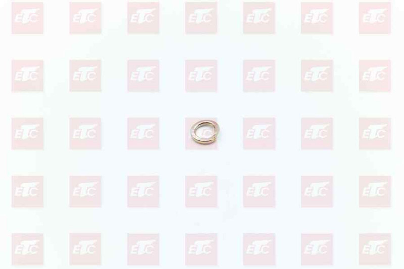 Q40310 Пружинная шайба — 1