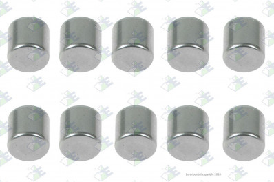 ER 95531079 Роллер D7x7 ZF 0635470012