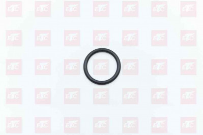 F306010019 Кольцо