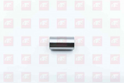 200V02502-0120 Палец поршневой MC11