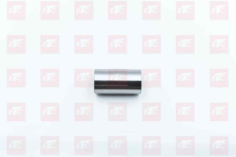 200V02502-0120 Палец поршневой MC11 — 2