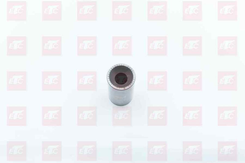 200V02502-0120 Палец поршневой MC11 — 1