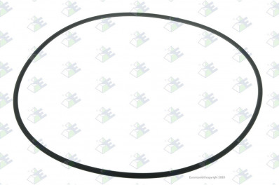 ER 60171584 Кольцо 255*5 MB 0279972248