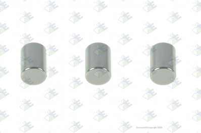 ER 95534747 Ролик 7x10 ZF 0635470046