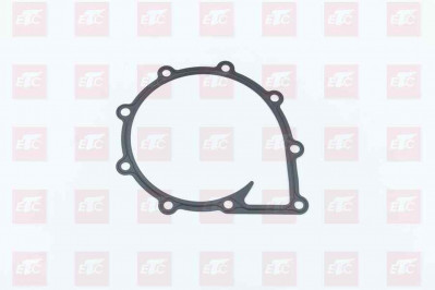 201V06901-0192 Прокладка водяного насоса