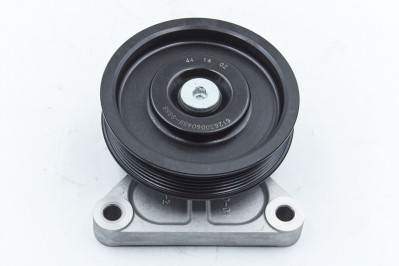 612630060489 Ролик обводной WP12.430 / WP12.375