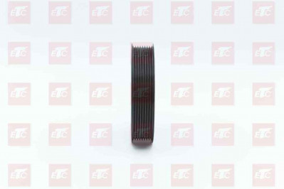 201V06503-0384 Шкив водяного насоса