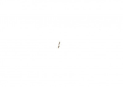 F00ZC99729 Шайба регулировочная 1,07 мм