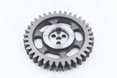 200045010191 Шестерня распределительного вала