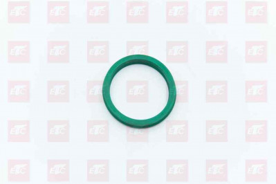 L913031000 Уплотнительное кольцо