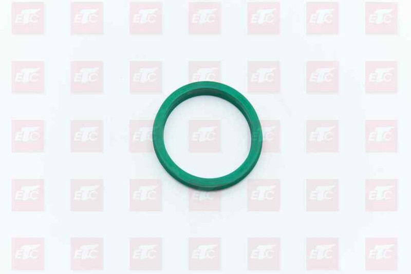 L913031000 Уплотнительное кольцо — 1