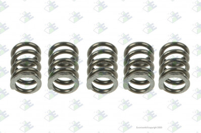 ER 95531010 Пружина ZF 0732040986