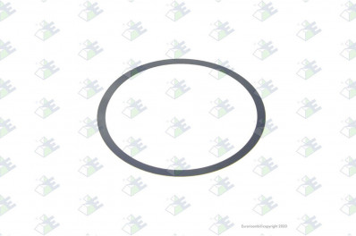 ER 74530356 Шайба 0,30