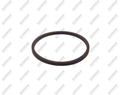 K1004384 Кольцо уплотнительное