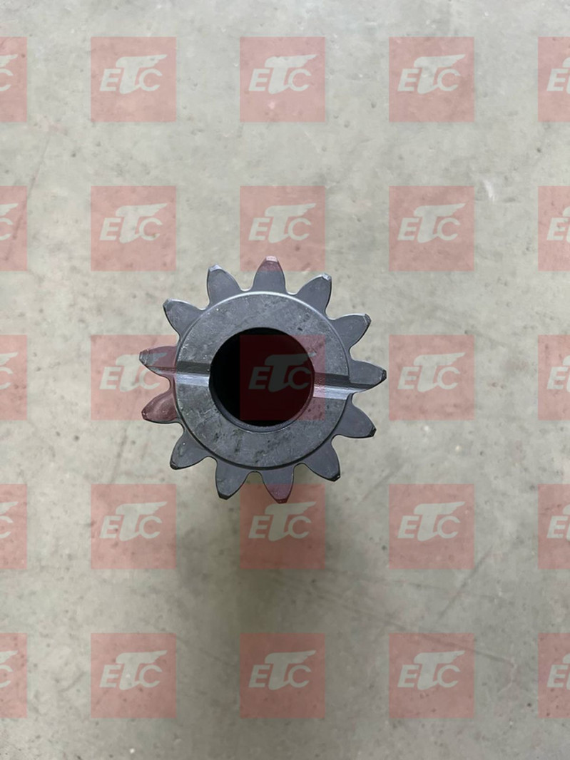 2020720474 Сателлит ДКП — 3