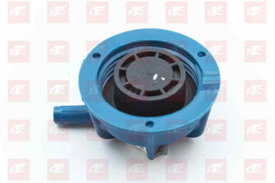 752W06101-0005/2 КЛАПАН РАДИАТОРА ОХЛАЖДЕНИЯ