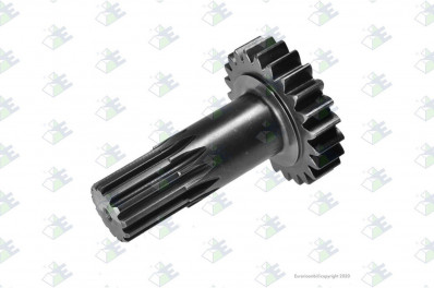 СОЛНЕЧНАЯ ШЕСТЕРНЯ