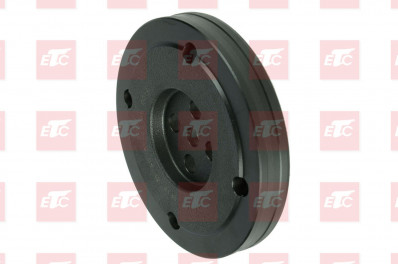 ER 56170497 Держатель подпятник бортового редуктора I=3,0