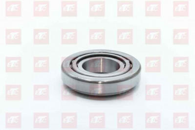 WG9981031313 Конический роликовый подшипник 31313