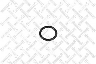 8901101SX Кольцо пальца тормозной колодки 30*4,5B-FPM1-70-GN