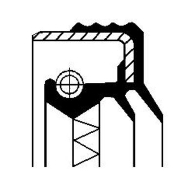 12016062B Сальник 80*100*12