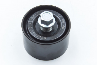 Ролик обводной 612630060973