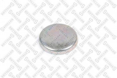 8904622SX Крышка шкворня