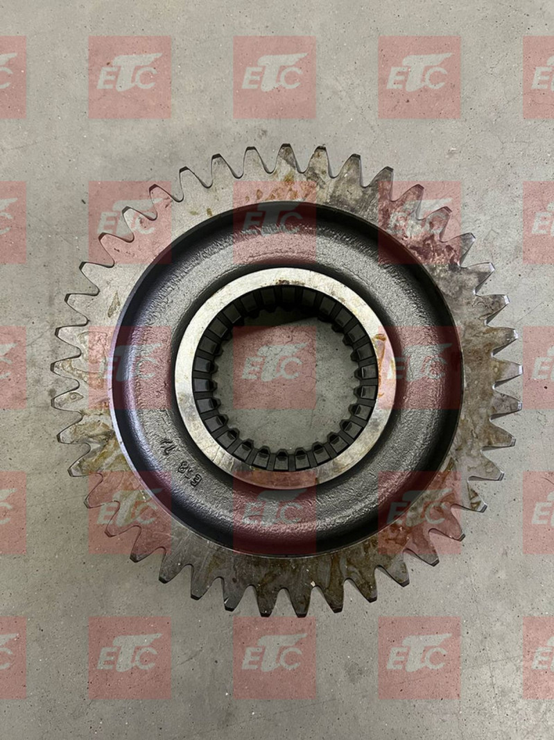 2017231824 Шестерня нижняя — 2