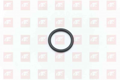 WG9761450143 Кольцо уплотнительное