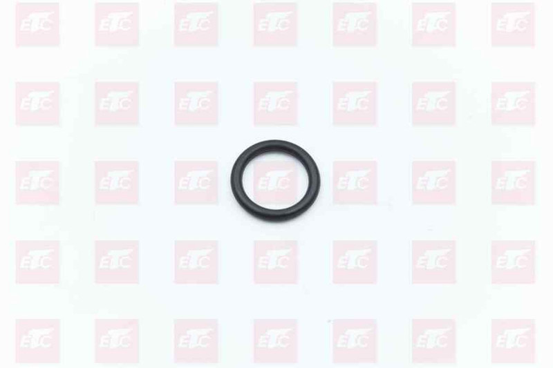 L913001900 Уплотнительное кольцо — 1