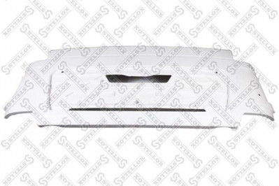 8721619SX Капот MAN TGS