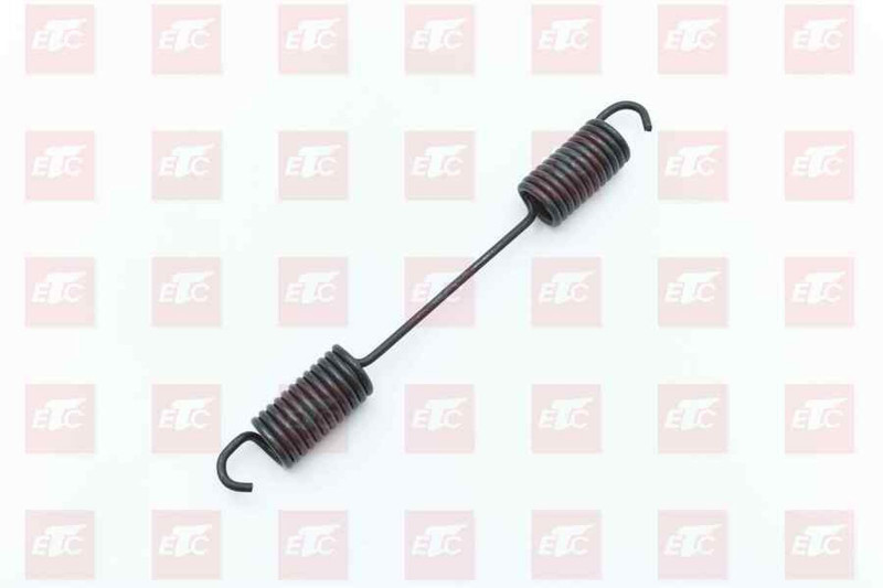 710W976100317 Пружина задней тормозной колодки мост MCP16 — 1