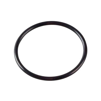 F00RJ00220 Кольцо уплотнительное форсунки