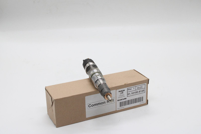 51101006125 Форсунка CR ДВС D2066 — 1