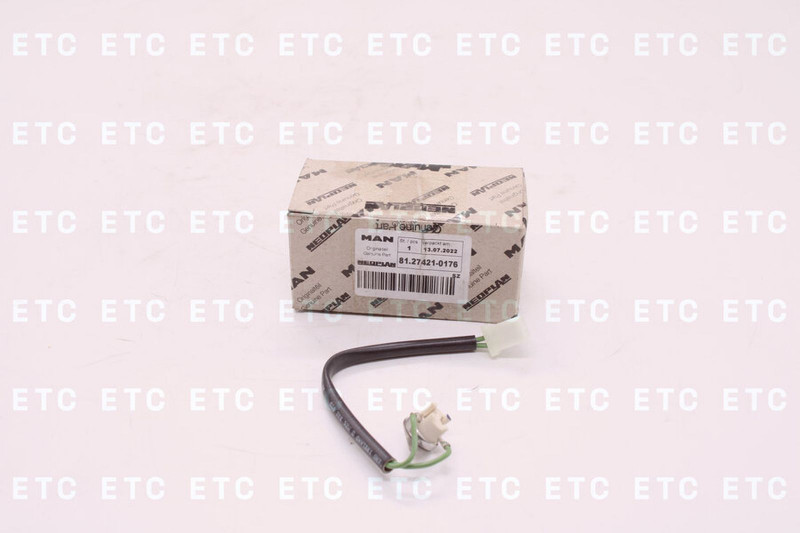 81274210176 Датчик перегрева для отопителя D3LC — 2