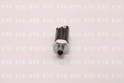 4438520240 Включатель кнопочный